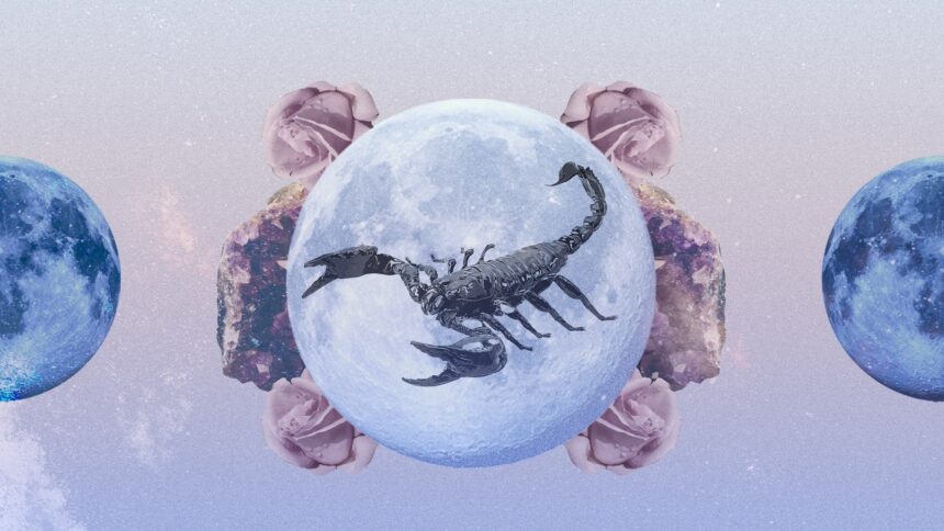 Horoskop Skorpion November 2023: Lesen Sie Ihre monatlichen Vorhersagen