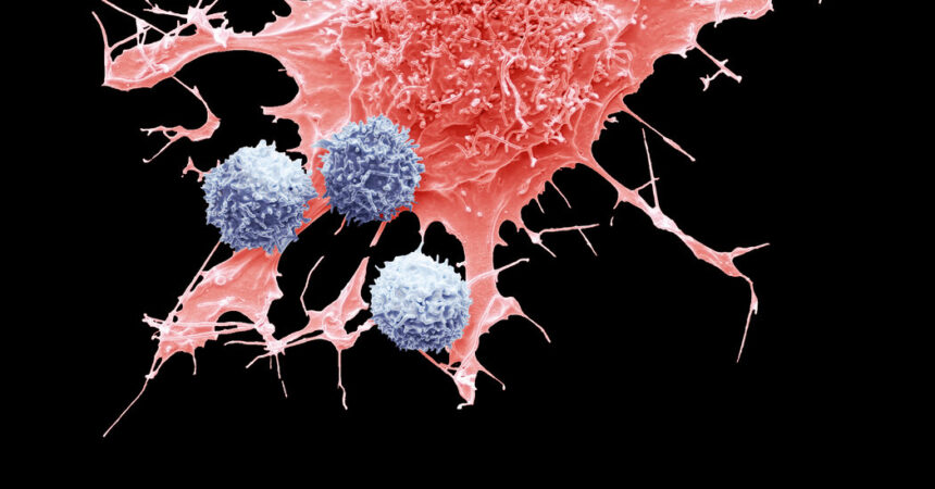 CAR-T, lebensrettende Krebsbehandlung, kann laut FDA manchmal Krebs verursachen
