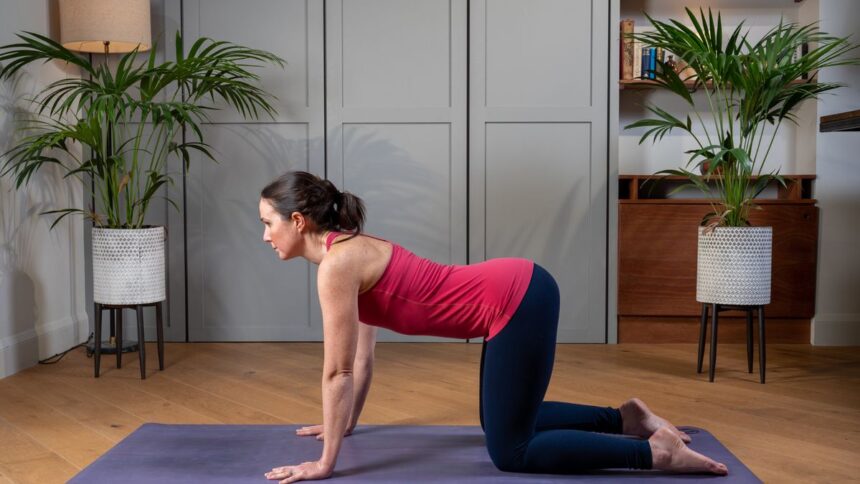 Nutzen Sie diese 10 Yoga-Strecken für Anfänger, um Ihre Flexibilität zu steigern